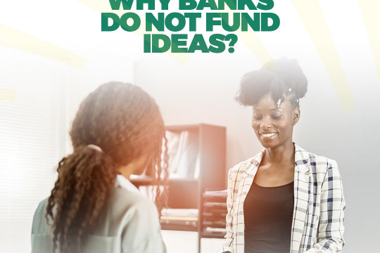 Why Banks Do Not Fund Ideas?